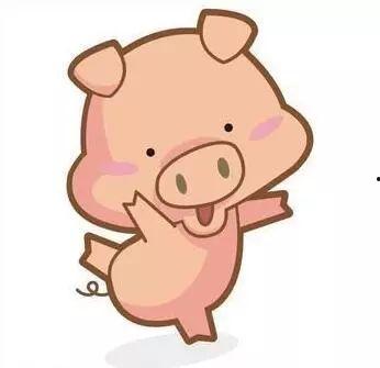 吃瓜特效小猪特效,揭秘吃瓜小猪的神奇特效之旅