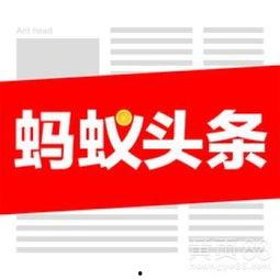 怎么和头条发布的人联系,如何轻松联系头条热门发布者