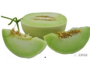 青皮绿肉瓜怎么吃,多汁美味，多样食法探索