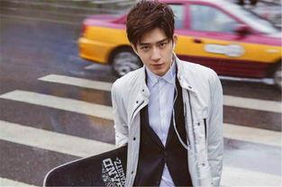 zzh下头男明星,揭秘娱乐圈中的“翻车”传奇