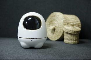 网红机器人小莹,网红机器人的崛起与未来