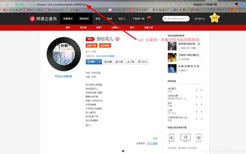 头条怎么添加音乐项,一键实现个性化内容创作