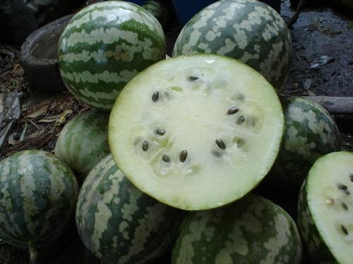 这瓜怎么吃,探索“这瓜怎么吃”的多重吃法