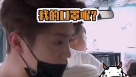 明星找鹅,明星与鹅的趣味邂逅