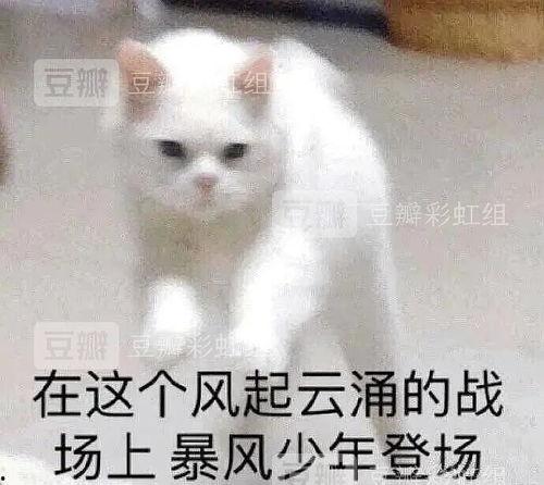 清醒理智的人吃瓜,清醒视角下的娱乐圈风云
