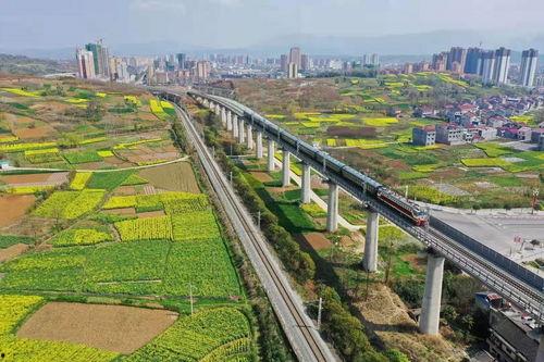 汉中勉县留坝新闻头条网,聚焦留坝发展新动态，共话乡村振兴新篇章