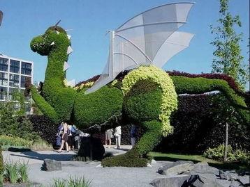 头条植物雕塑图片,植物雕塑艺术之美