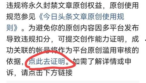 头条申诉需要什么,掌握这些要点，轻松解决申诉难题