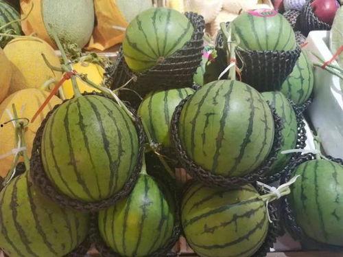 黄岛五中吃瓜,揭秘校园里的热点话题