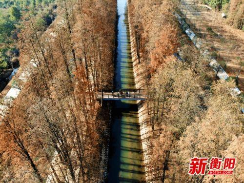 衡阳网红黄土地,探寻千年古村的魅力与传承