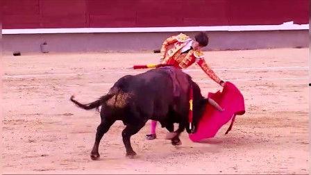 斗牛高清在线观看