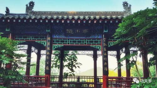 功夫明星大咖名单,揭秘影视圈中的硬汉传奇