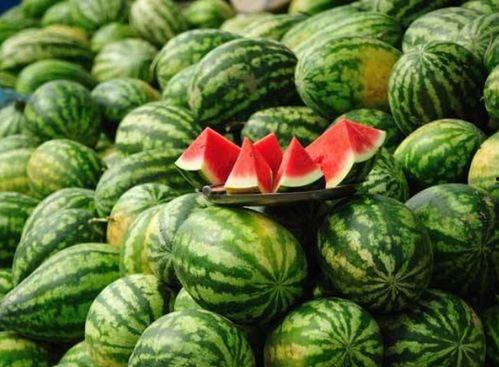 吴川网红吃瓜事件真相是真的吗,真相揭秘，还原事件始末