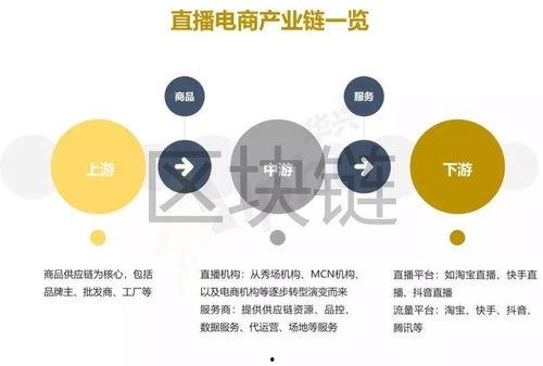 区块链网红电商直播,区块链赋能网红电商直播新纪元
