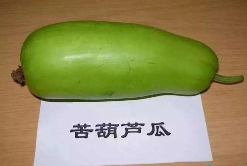 葫芦瓜可以煮着吃吗,煮食新体验