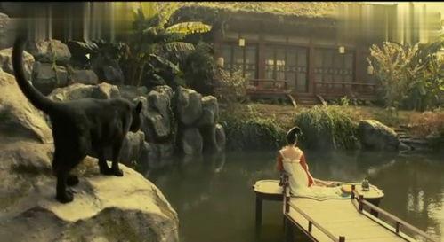 黑猫在河边吃瓜,夏日风情尽收眼底