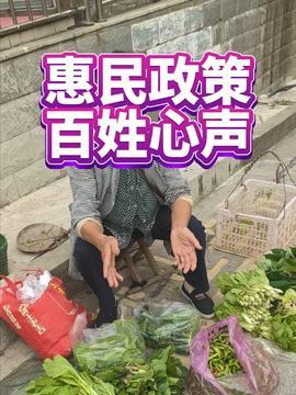 今日头条苏东坡视频全集,千古风流人物，视频全集深度解读