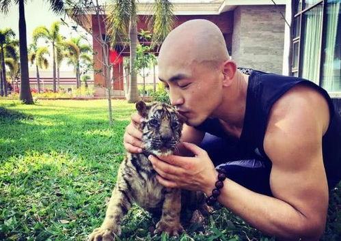 网红岁龙是谁,网络红人的崛起之路