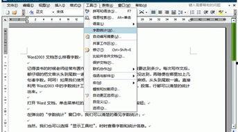 头条问答如何看字数统计,揭秘高效内容创作的秘密